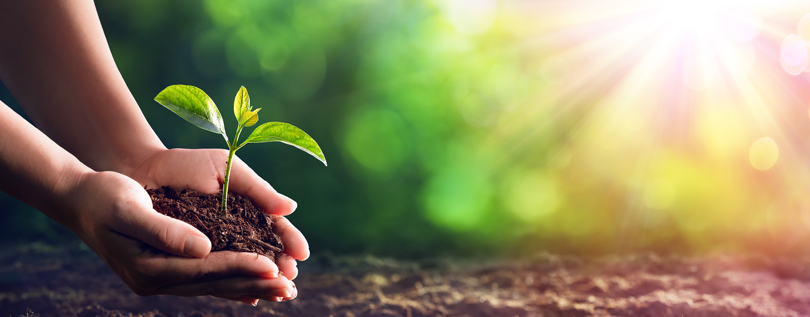 BJLƽ̨(�й���)����